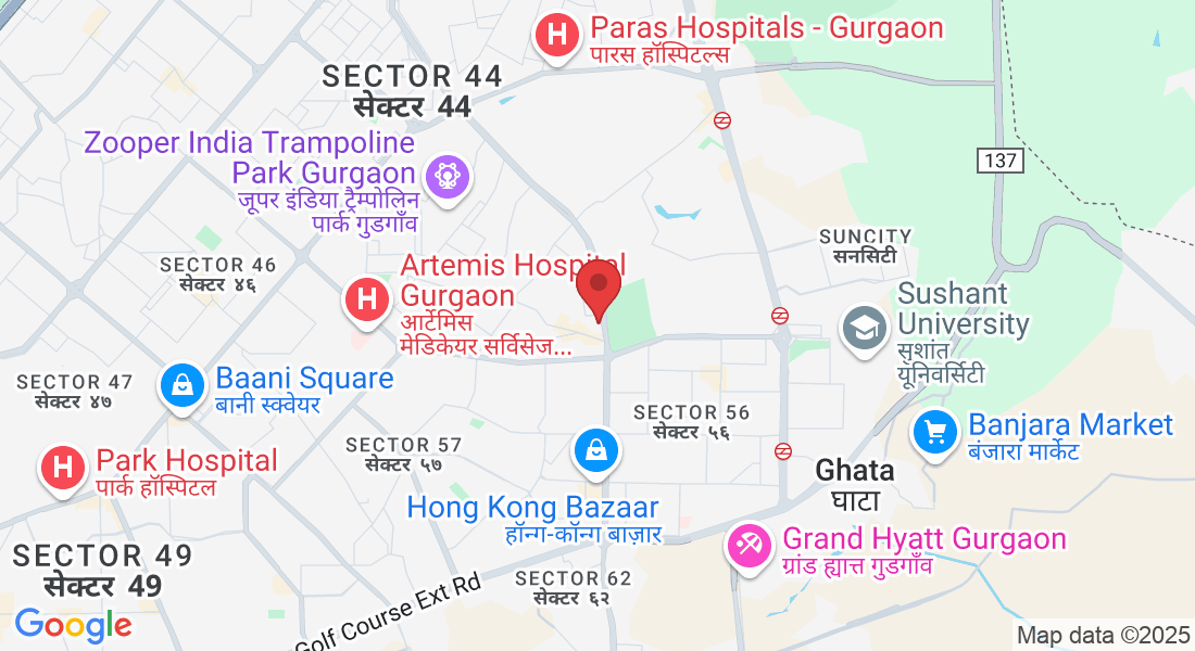 Plot No. 2, Wazirabad, Sector 52, Gurugram, Haryana 122003, India