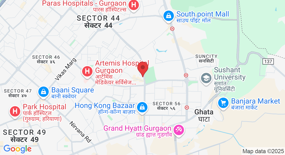 Plot No. 2, Wazirabad, Sector 52, Gurugram, Haryana 122003, India
