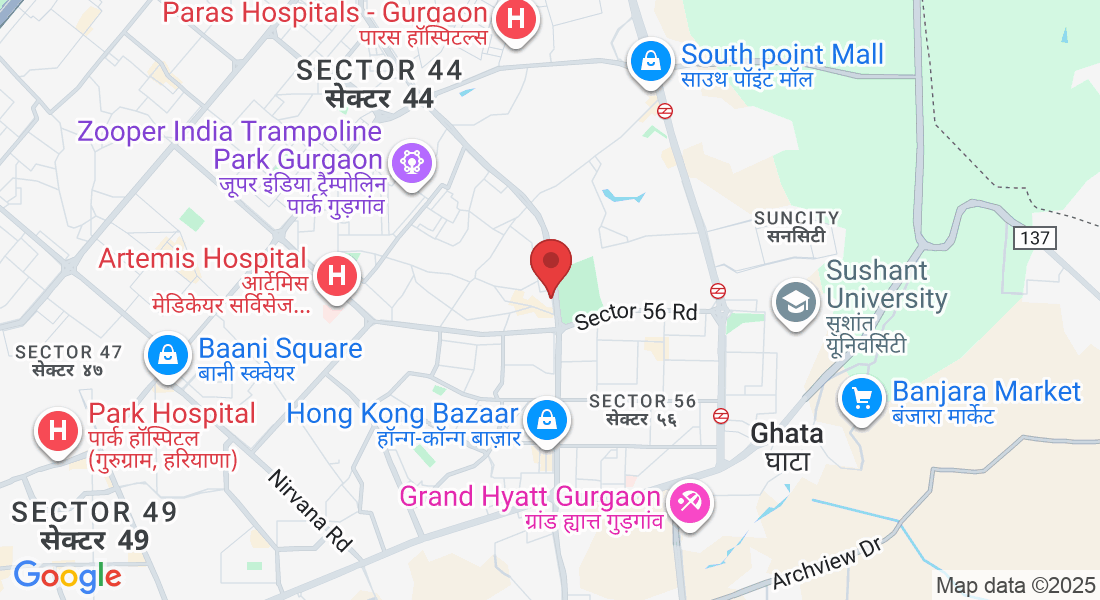 Plot No. 2, Wazirabad, Sector 52, Gurugram, Haryana 122003, India