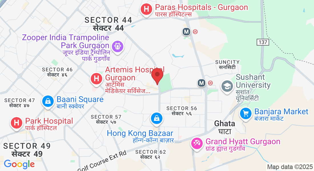 Plot No. 2, Wazirabad, Sector 52, Gurugram, Haryana 122003, India