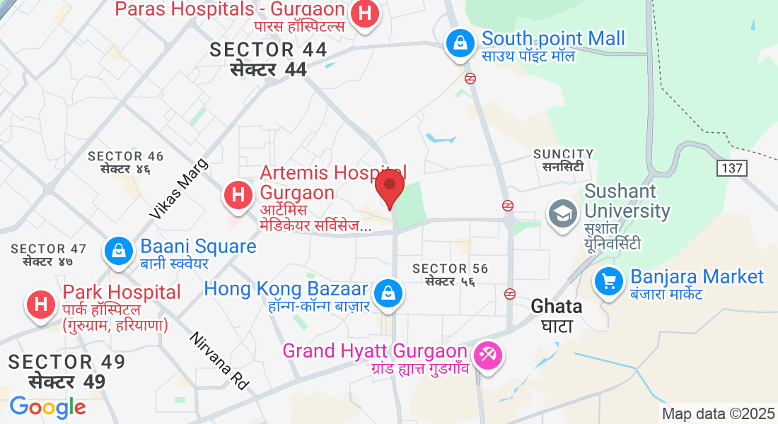 Plot No. 2, Wazirabad, Sector 52, Gurugram, Haryana 122003, India