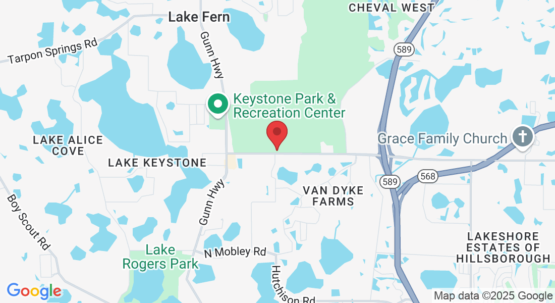 7509 Van Dyke Rd, Odessa, FL 33556, USA