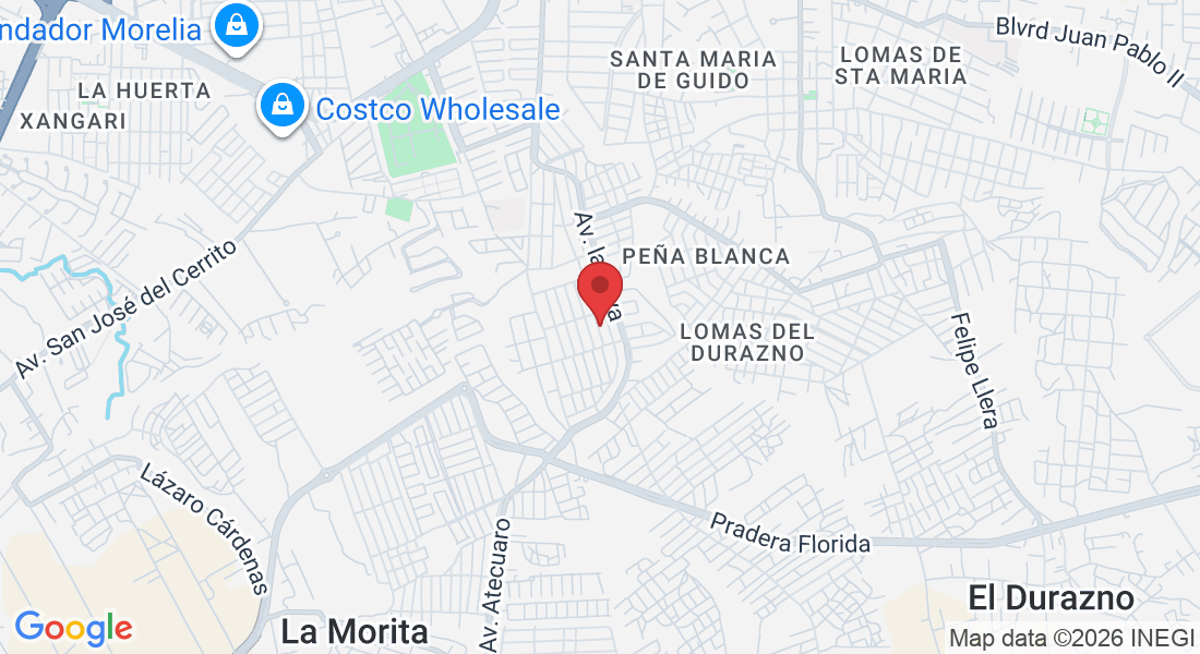 Encino 225, Colinas del Sur, 58095 Morelia, Mich., México