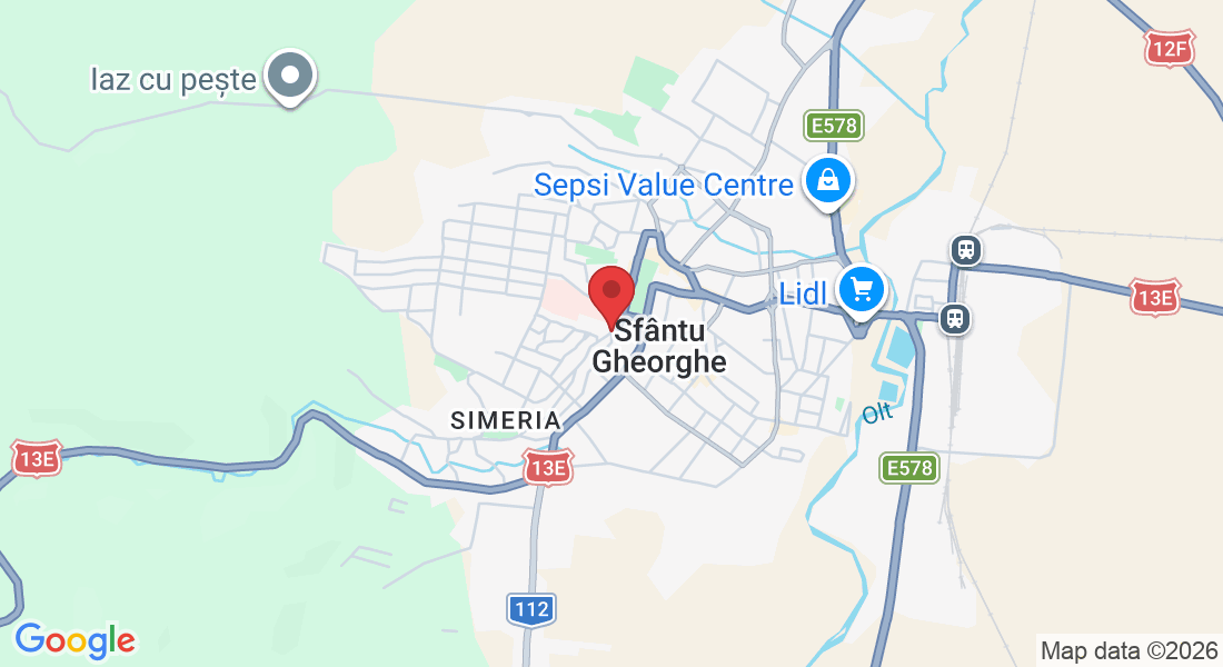 Strada Vasile Goldiș 2, Sfântu Gheorghe 520001, Romania