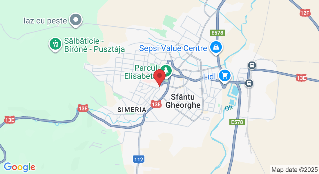 Strada Vasile Goldiș 2, Sfântu Gheorghe 520001, Romania