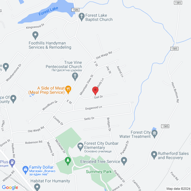 177 Gail Dr, Forest City, NC 28043, Съединени щати