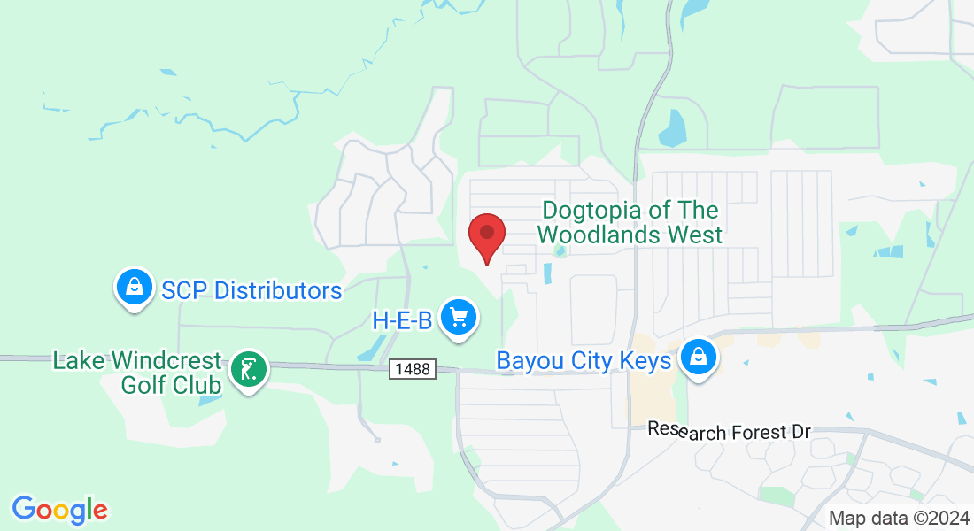 33227 Forest W St, Magnolia, TX 77354, USA