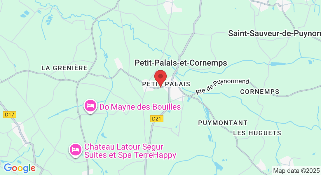 284 Rte des Artigues de Lussac, 33570 Petit-Palais-et-Cornemps, France