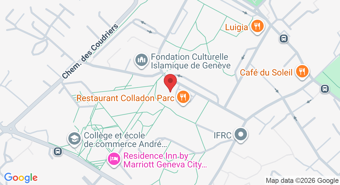 Chem. Colladon 5, 1209 Genève, Suisse