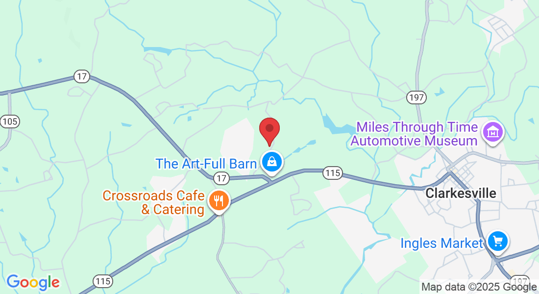 515 Rennie Hames Rd, Clarkesville, GA 30523, USA