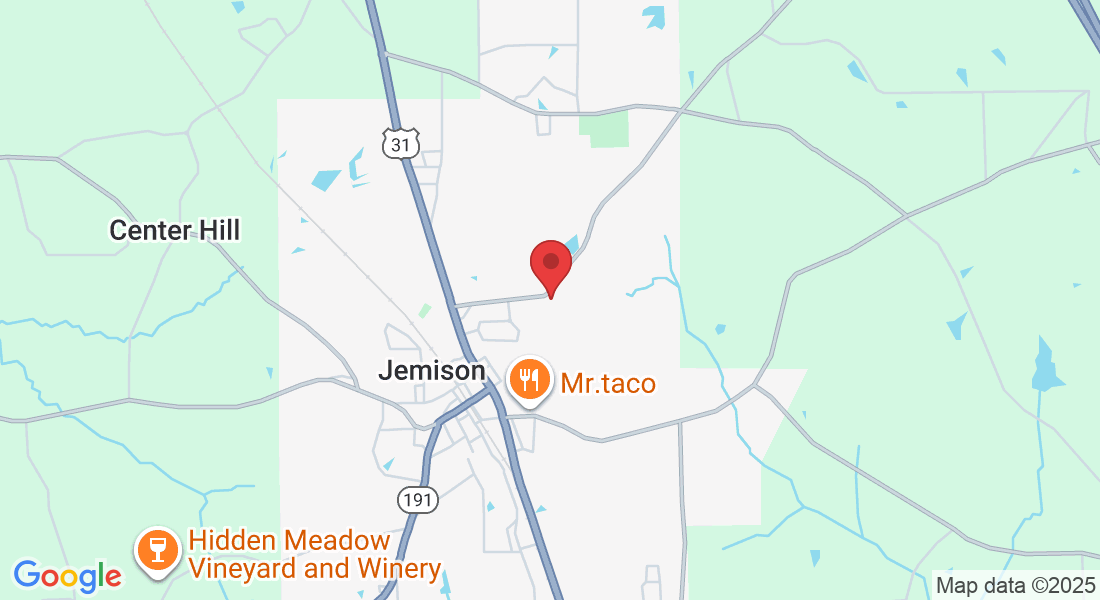 16863 Co Rd 51, Jemison, AL 35085, USA