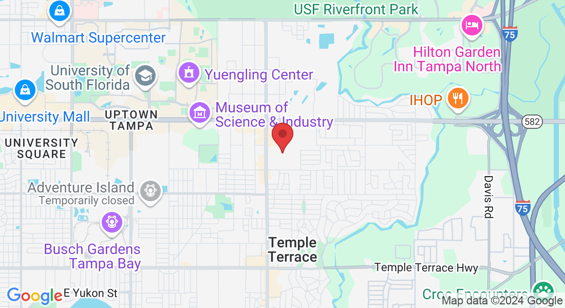 11101 Richlyne St, Tampa, FL 33617, USA