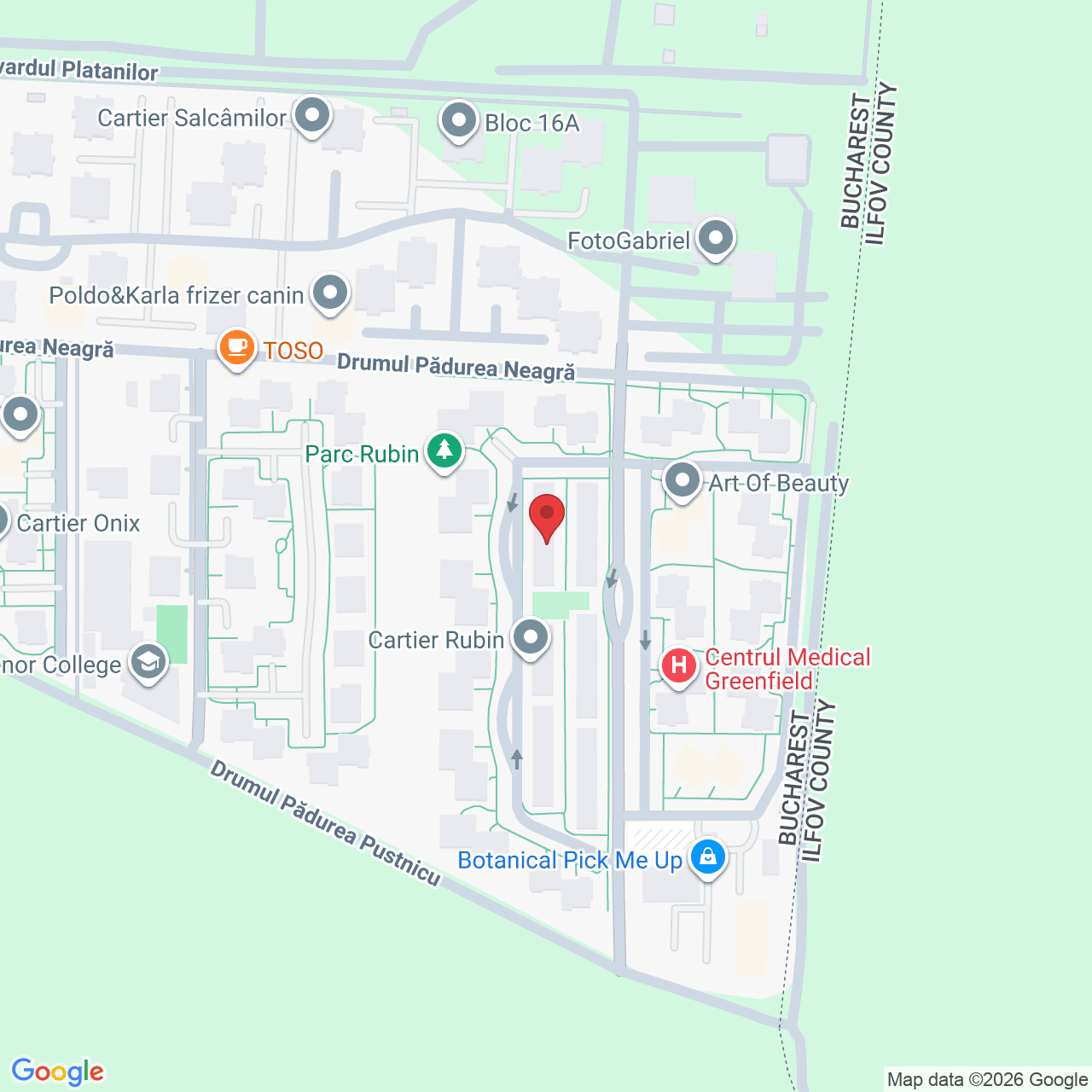 Strada Pădurea Mogoșoaia 31, București 014043, Romania