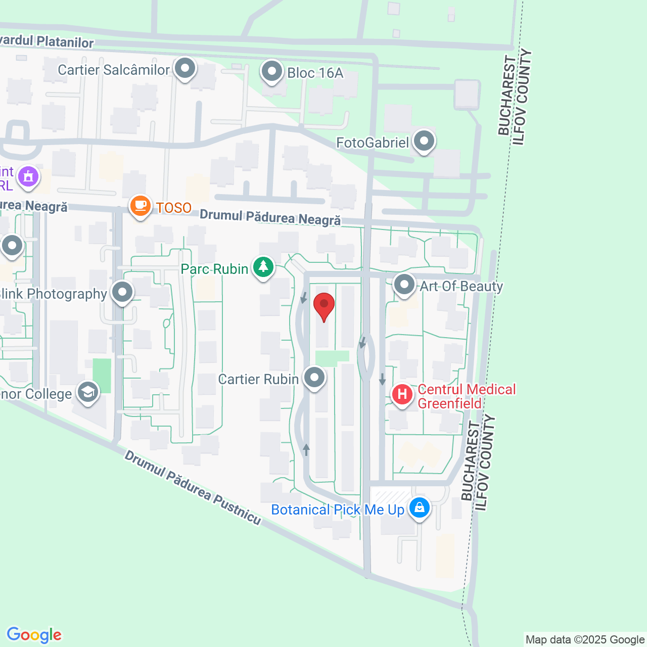 Strada Pădurea Mogoșoaia 31, București 014043, Romania