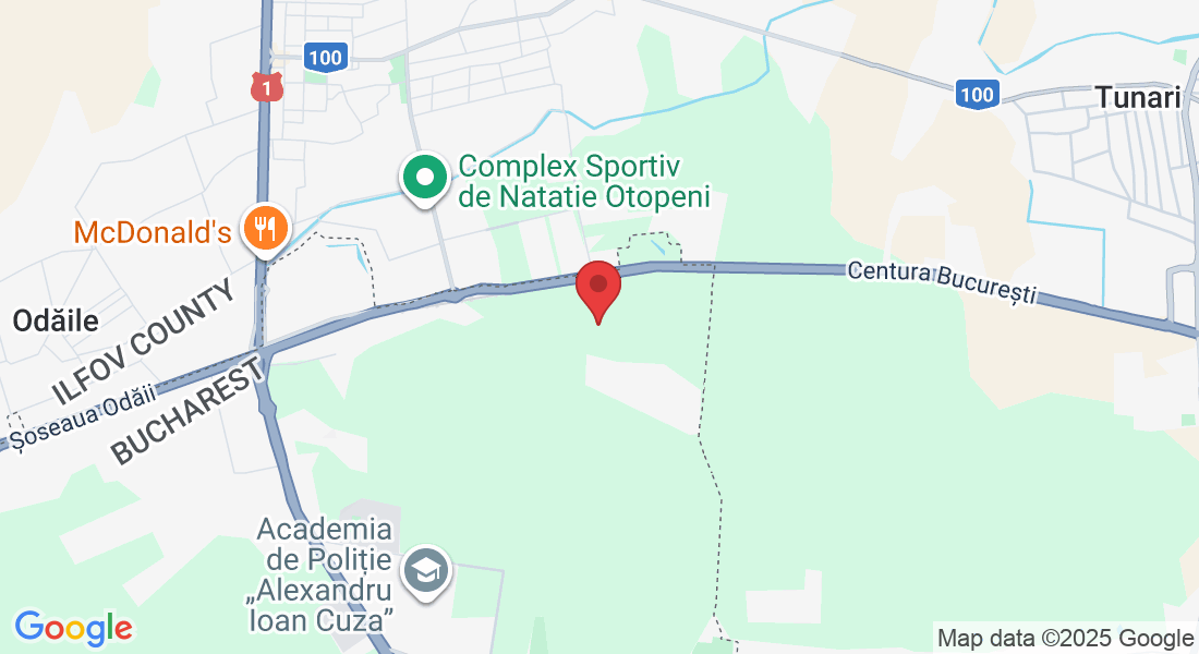 G3PW+C3, Strada Pădurea Mogoșoaia 31-41, București 014043, Romania