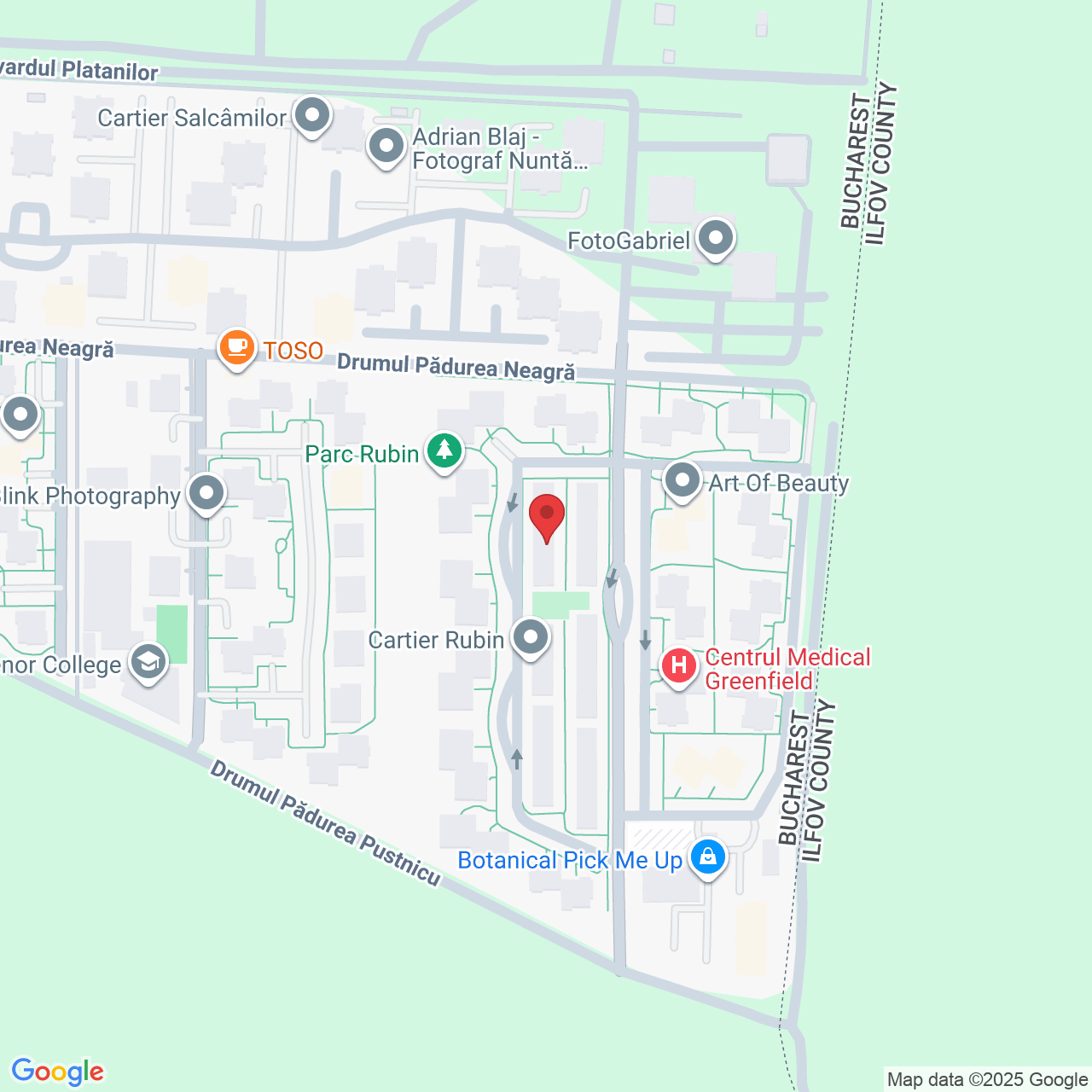 Strada Pădurea Mogoșoaia 31, București 014043, Romania