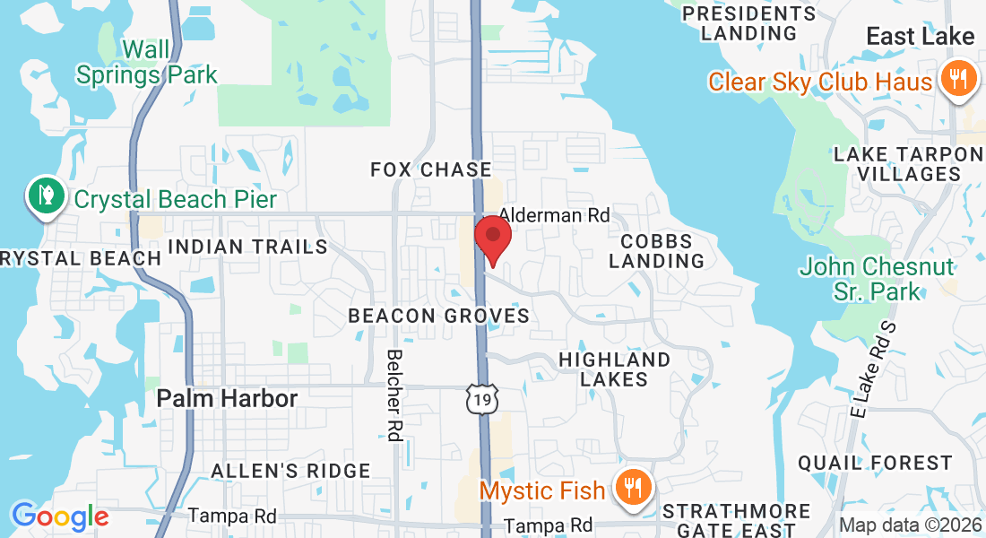 34921 US Hwy 19 N suite 240, Palm Harbor, FL 34684, USA