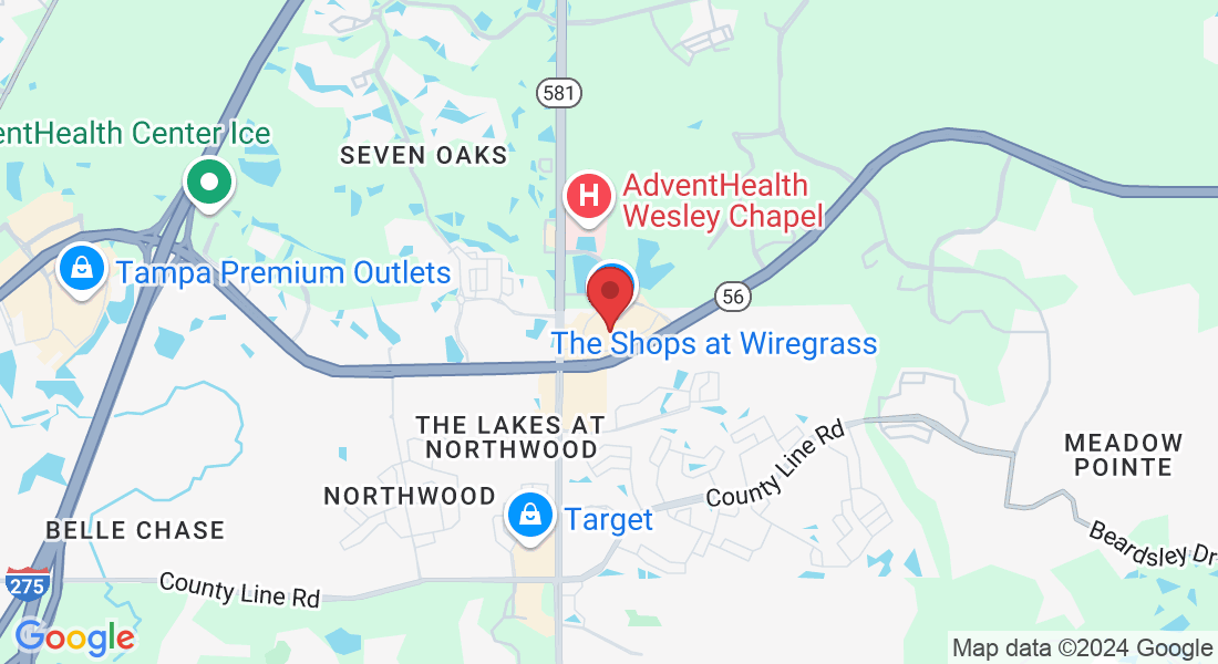 28210 Paseo Drive suite 300, Wesley Chapel, FL 33543, USA