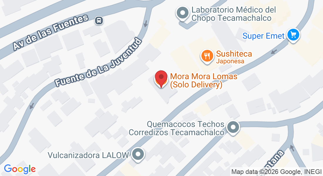 Fuente de Templanza 23, San Miguel Tecamachalco, Lomas de Tecamachalco, 53970 Naucalpan de Juárez, Méx., México