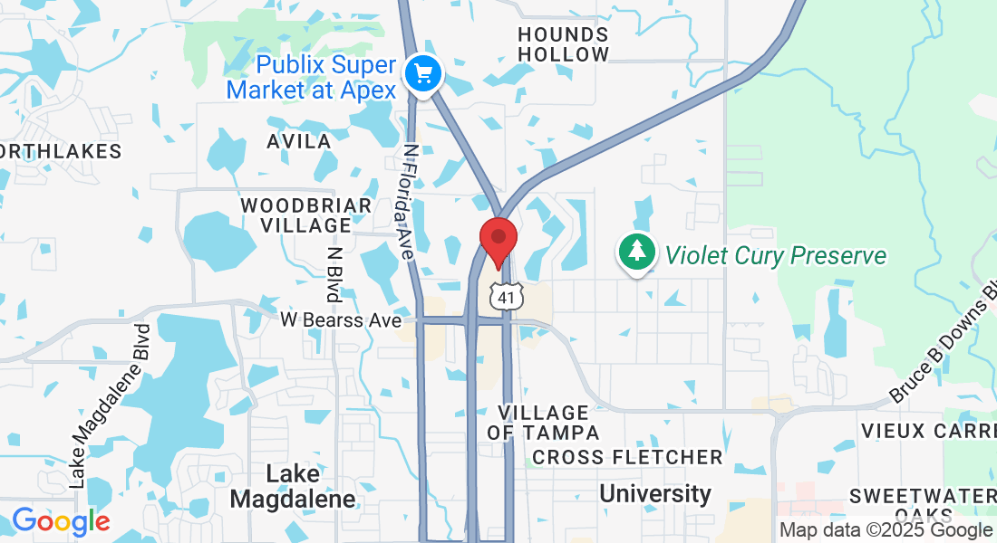 15430 N Nebraska Ave, Lutz, FL 33549, EUA