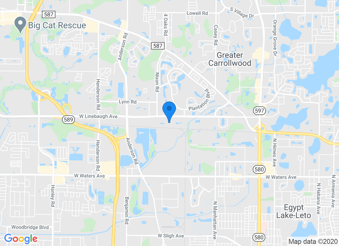 5040 W Linebaugh Ave, Tampa, FL 33624, USA