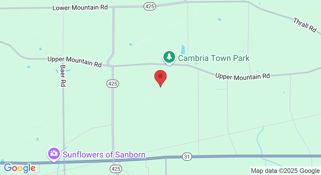 3986 Upper Mountain Rd, Sanborn, NY 14132, USA