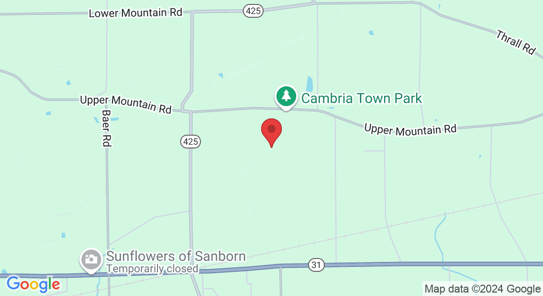 3986 Upper Mountain Rd, Sanborn, NY 14132, USA