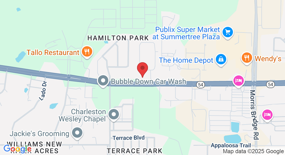 33921 FL-54 suite 102, Wesley Chapel, FL 33543, USA