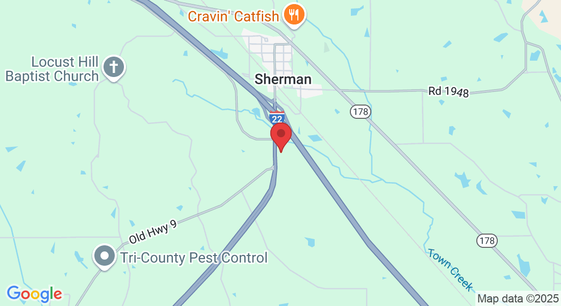 55 Wallace Dr, Belden, MS 38826, USA
