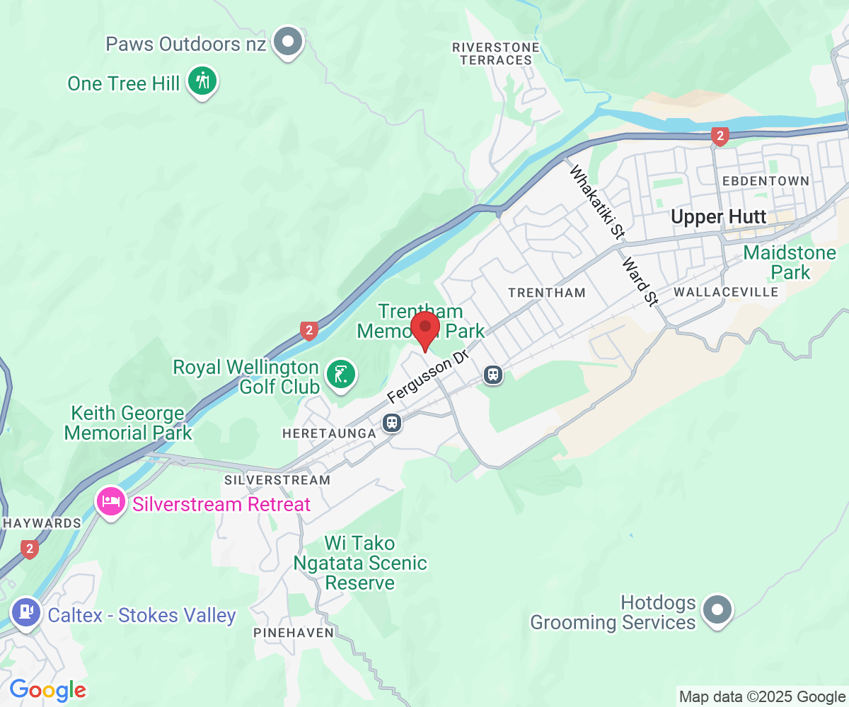 86 Barton Avenue, Heretaunga, Upper Hutt 5018, New Zealand