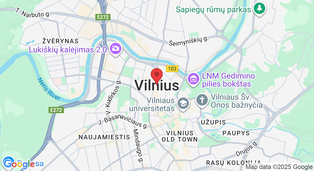 Vilnius, Vilnius City Municipality, Lithuania