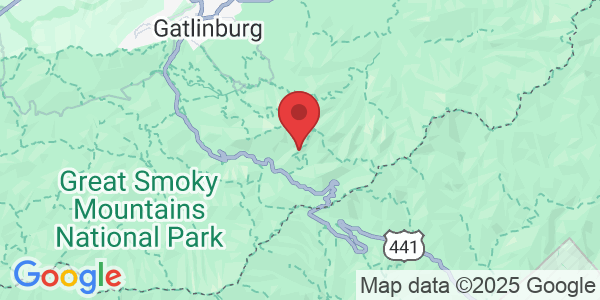 Alum Cave Trail, Tennessee 37738, USA