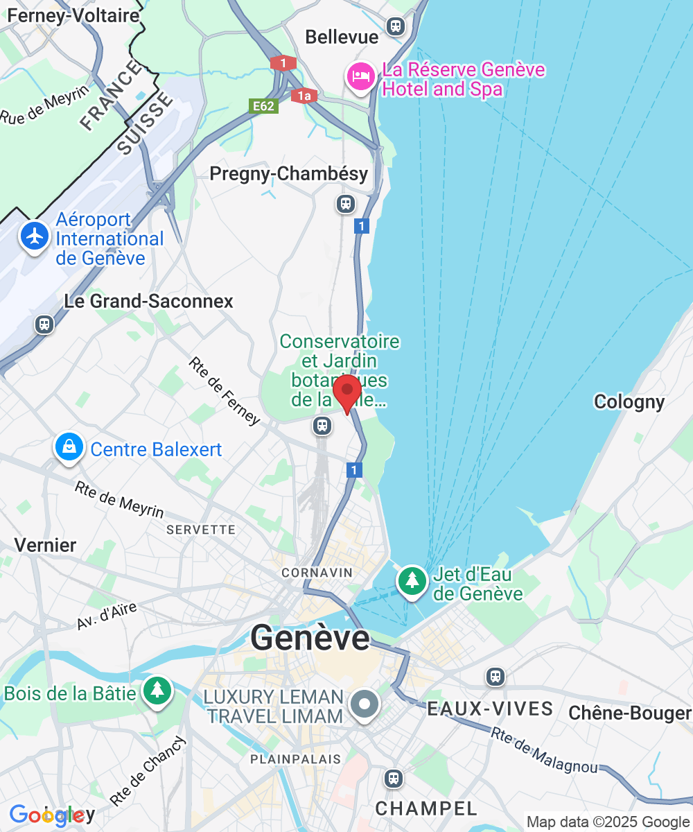 Chem. des Mines 2, 1202 Genève, Suisse