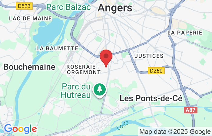 47 Rue du Grand Douzille, 49000 Angers, France