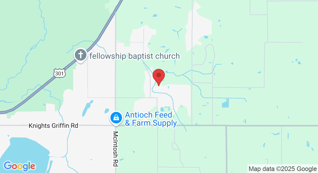 5411 Doc Pricher Rd, Plant City, FL 33565, USA
