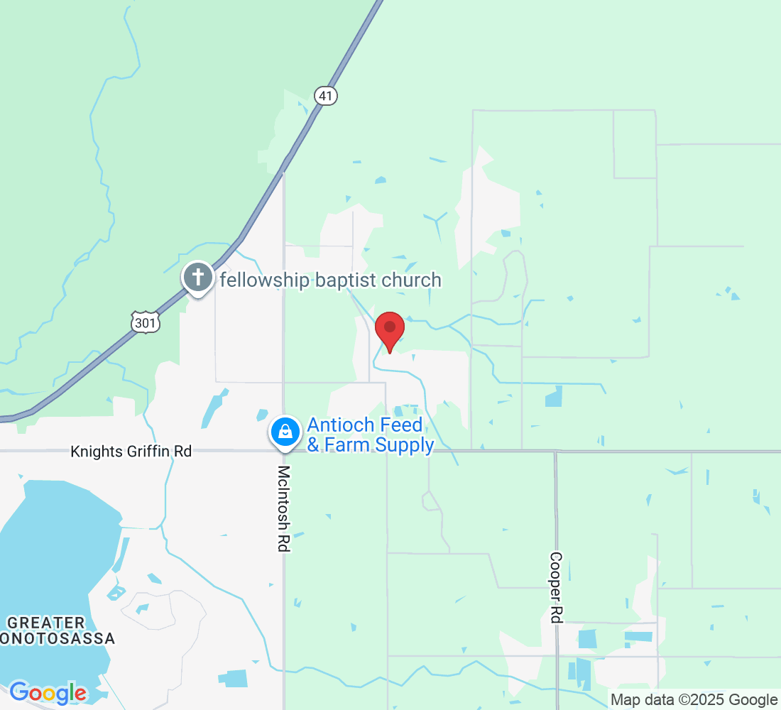 5411 Doc Pricher Rd Suit B1, Plant City, FL 33565, USA
