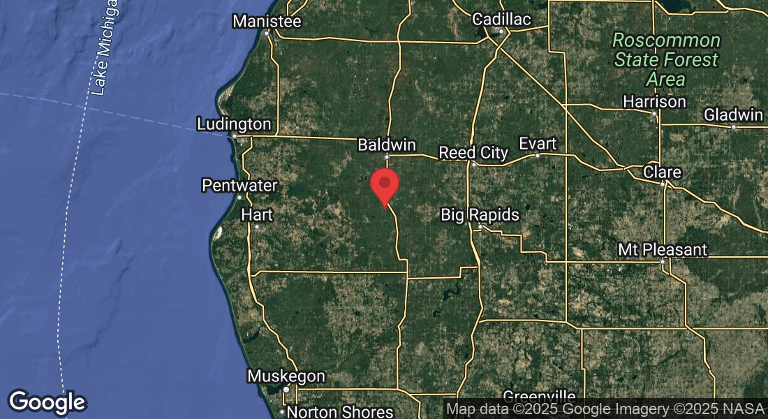 Bitely, MI 49309, USA