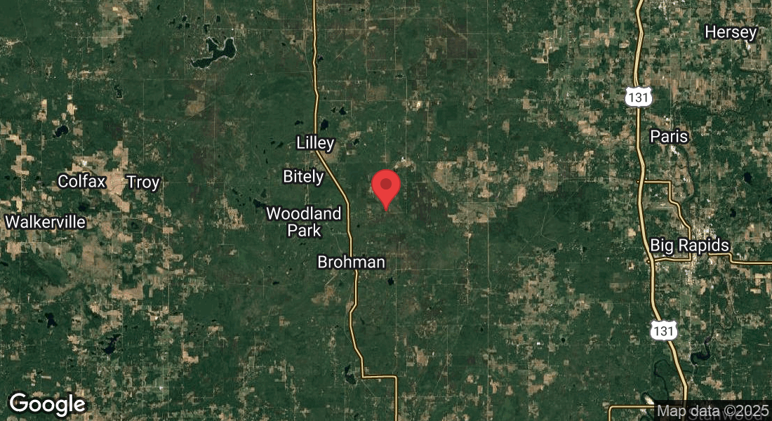9283 Willow Rd, Bitely, MI 49309, USA