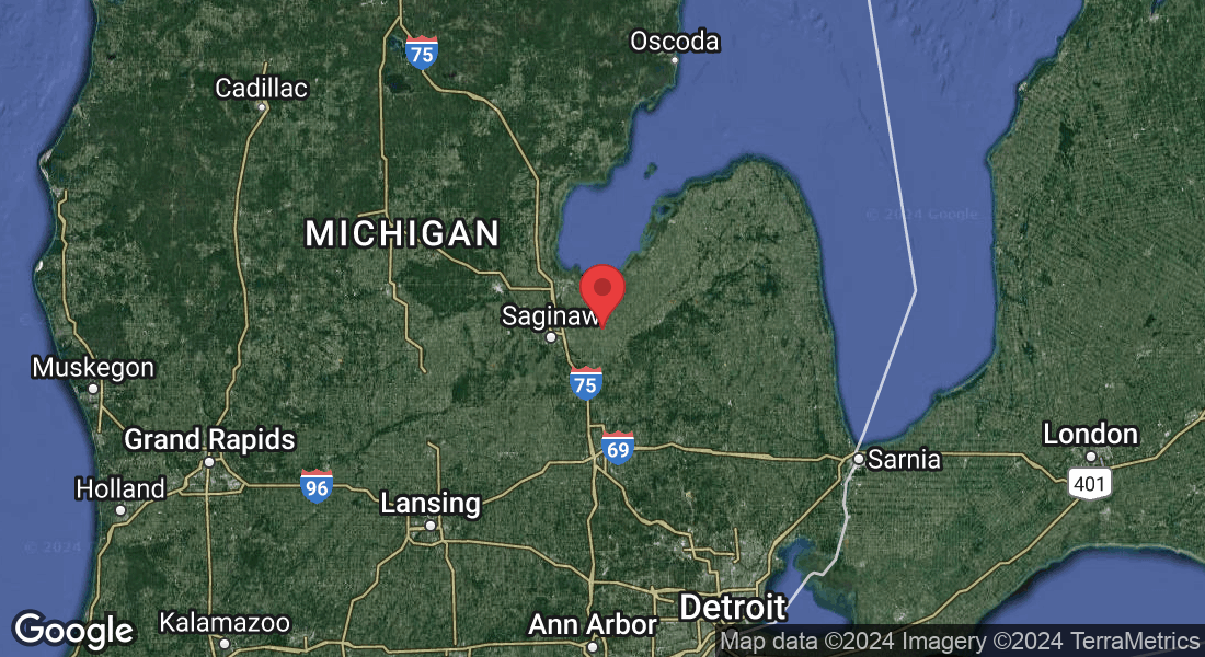 Reese, MI 48757, USA