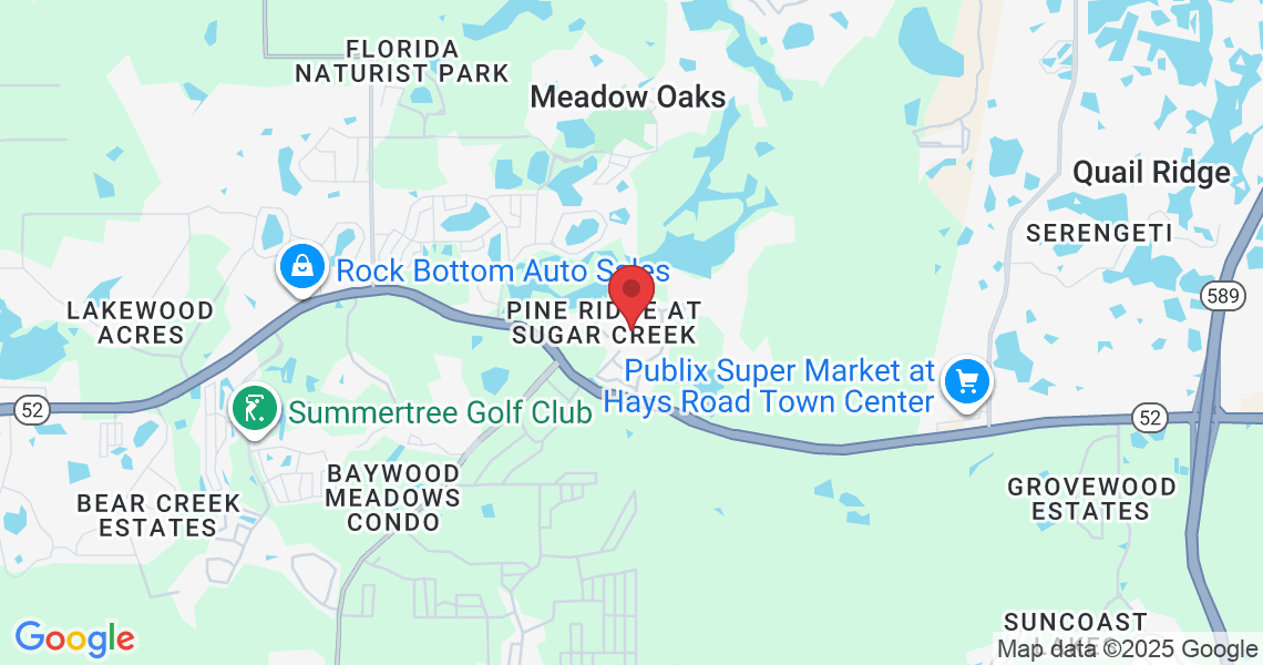 13207 Old Florida Cir, Hudson, FL 34669, USA