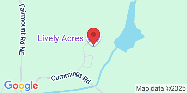 1616 Irwin Mill Rd SE, Fairmount, GA 30139, USA