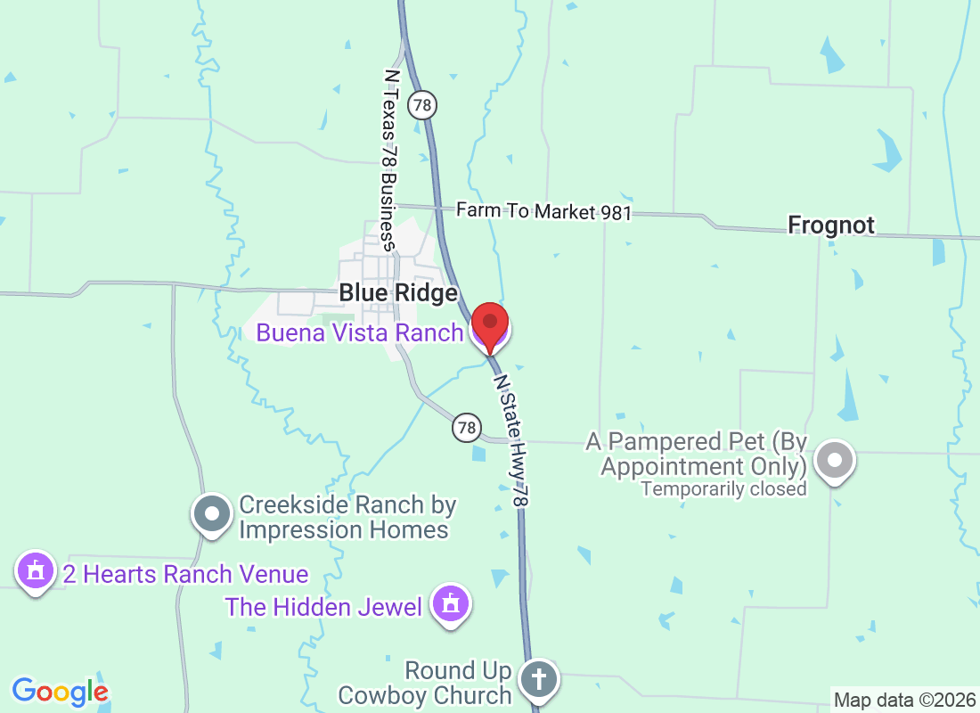 9200 N State Hwy 78, Blue Ridge, TX 75424, USA
