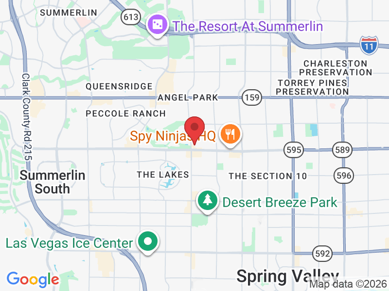 Las Vegas, NV 89117, USA