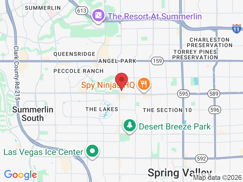 Las Vegas, NV 89117, USA