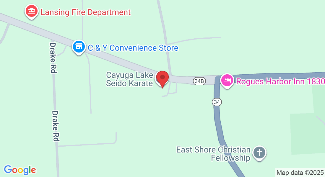 17 Ridge Rd, Lansing, NY 14882, USA
