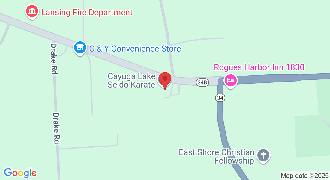 17 Ridge Rd, Lansing, NY 14882, USA