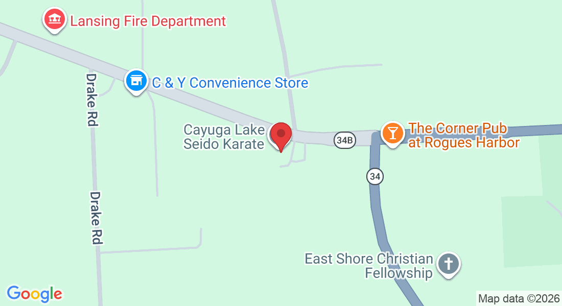 17 Ridge Rd, Lansing, NY 14882, USA