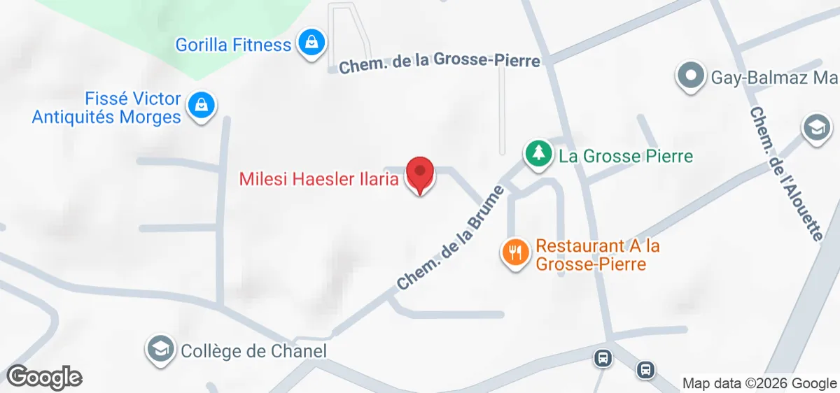 Chem. de la Brume 2, 1110 Morges, Suisse