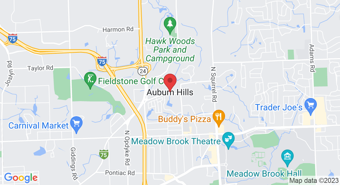 Auburn Hills, MI, USA