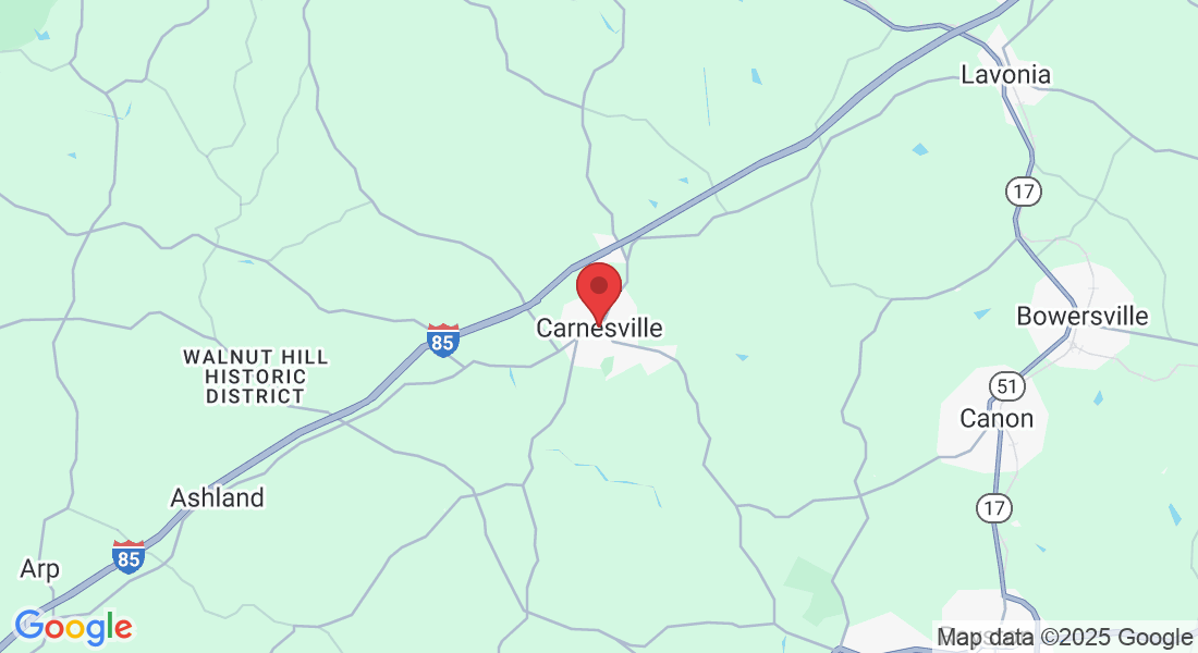 Carnesville, GA 30521, USA